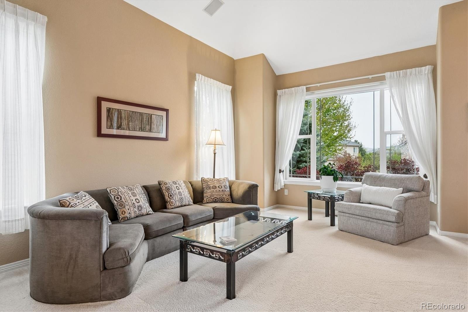 MLS Image #8 for 1755  peninsula circle,castle rock, Colorado