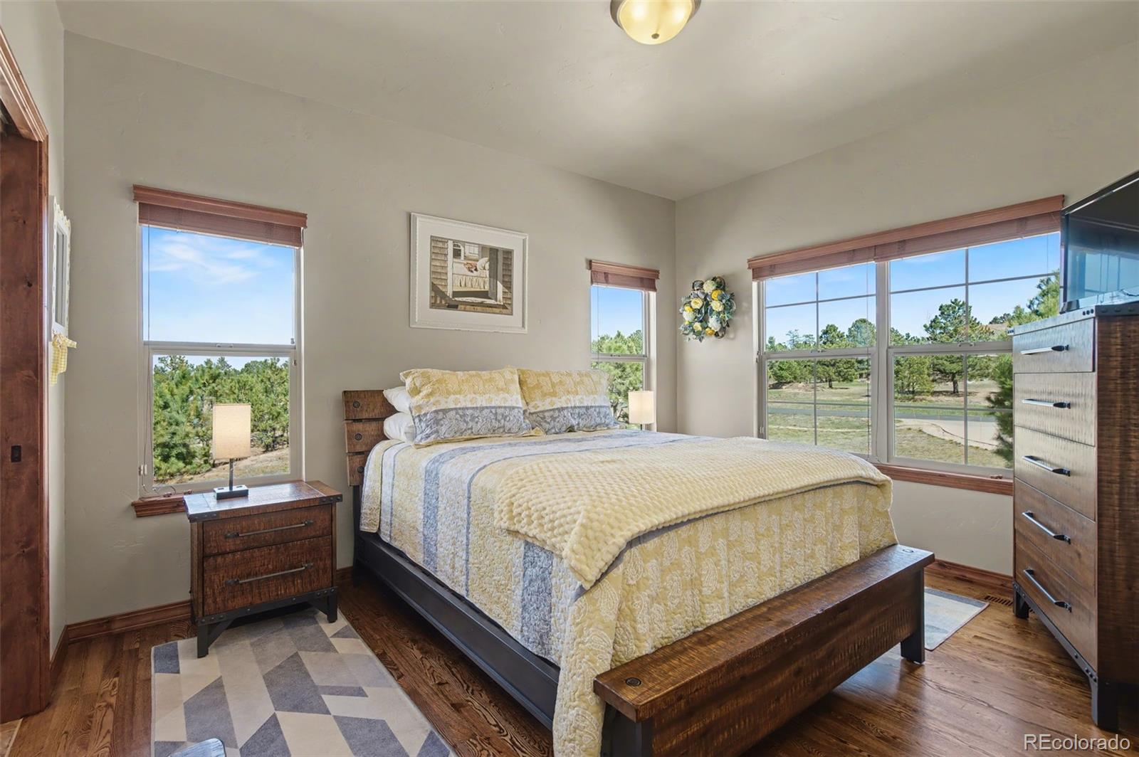 MLS Image #19 for 16242  timber meadow drive,colorado springs, Colorado