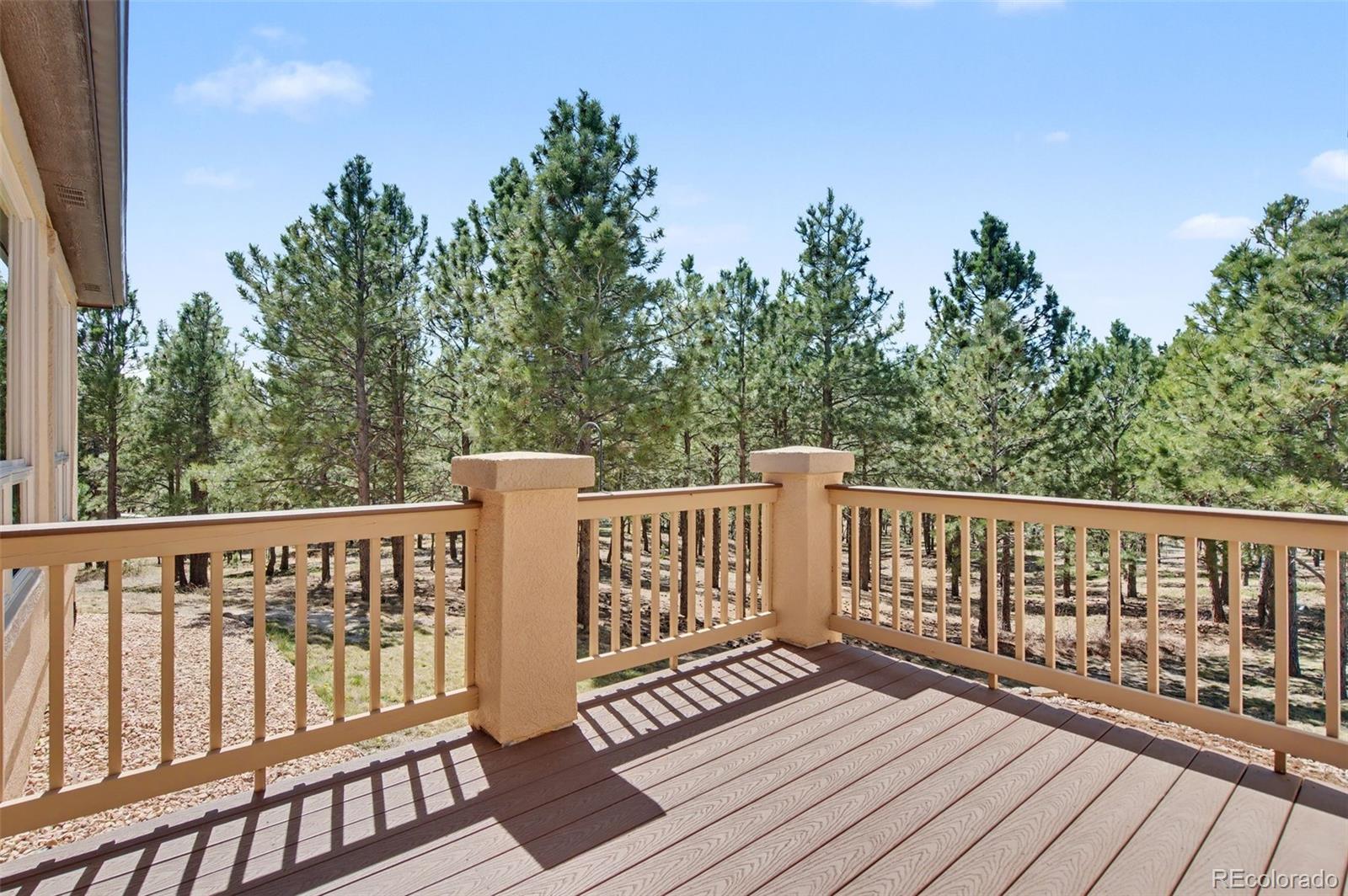 MLS Image #27 for 16242  timber meadow drive,colorado springs, Colorado