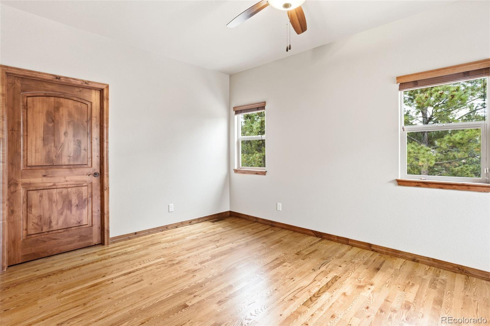 MLS Image #29 for 16242  timber meadow drive,colorado springs, Colorado