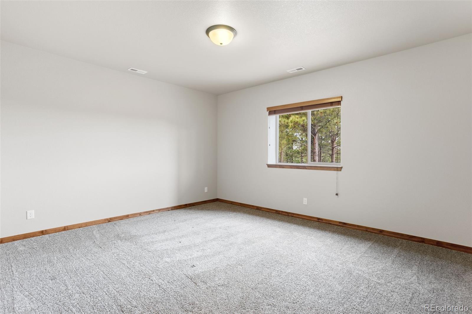 MLS Image #40 for 16242  timber meadow drive,colorado springs, Colorado