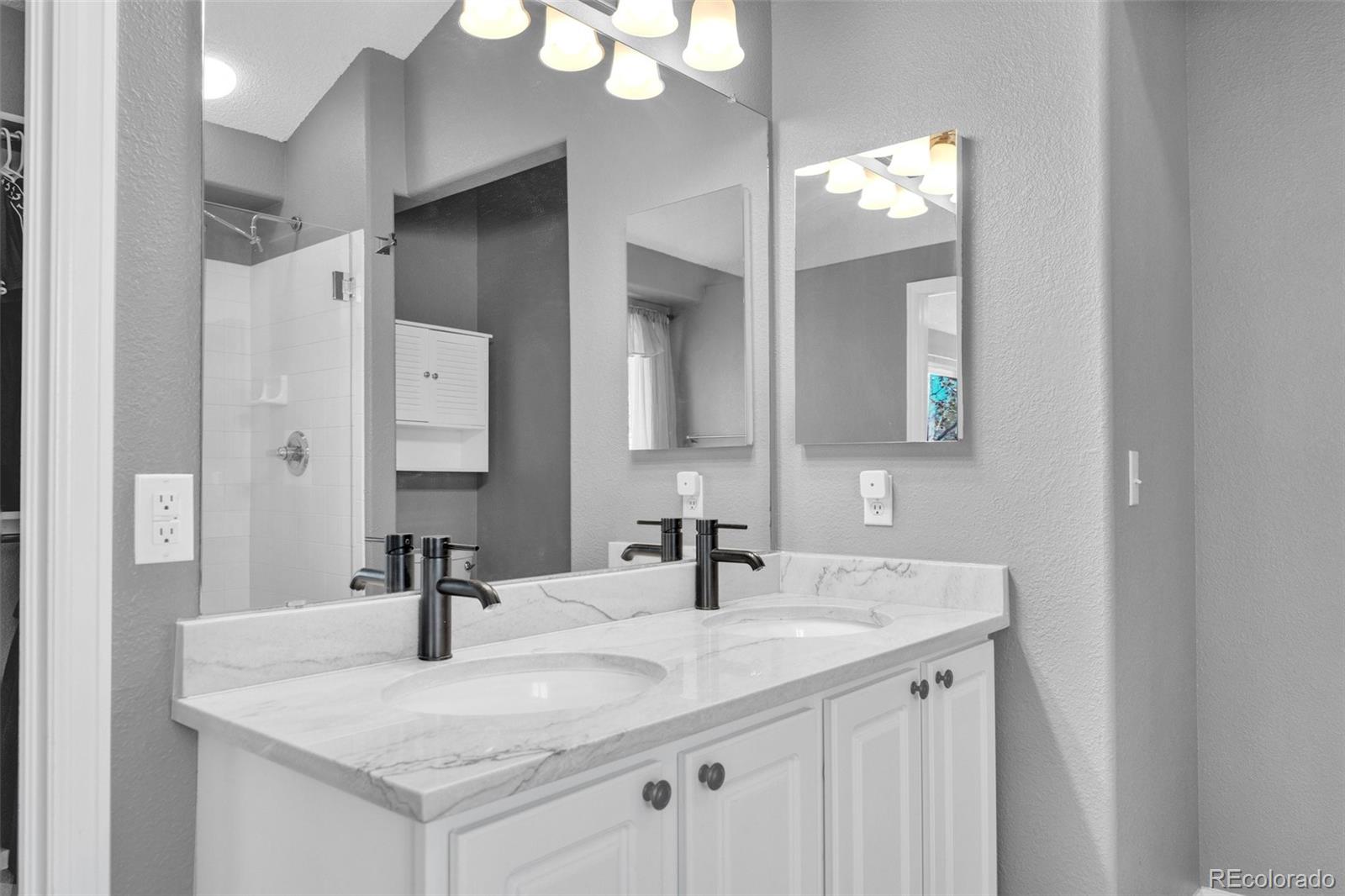 MLS Image #16 for 9098  goosander way,littleton, Colorado