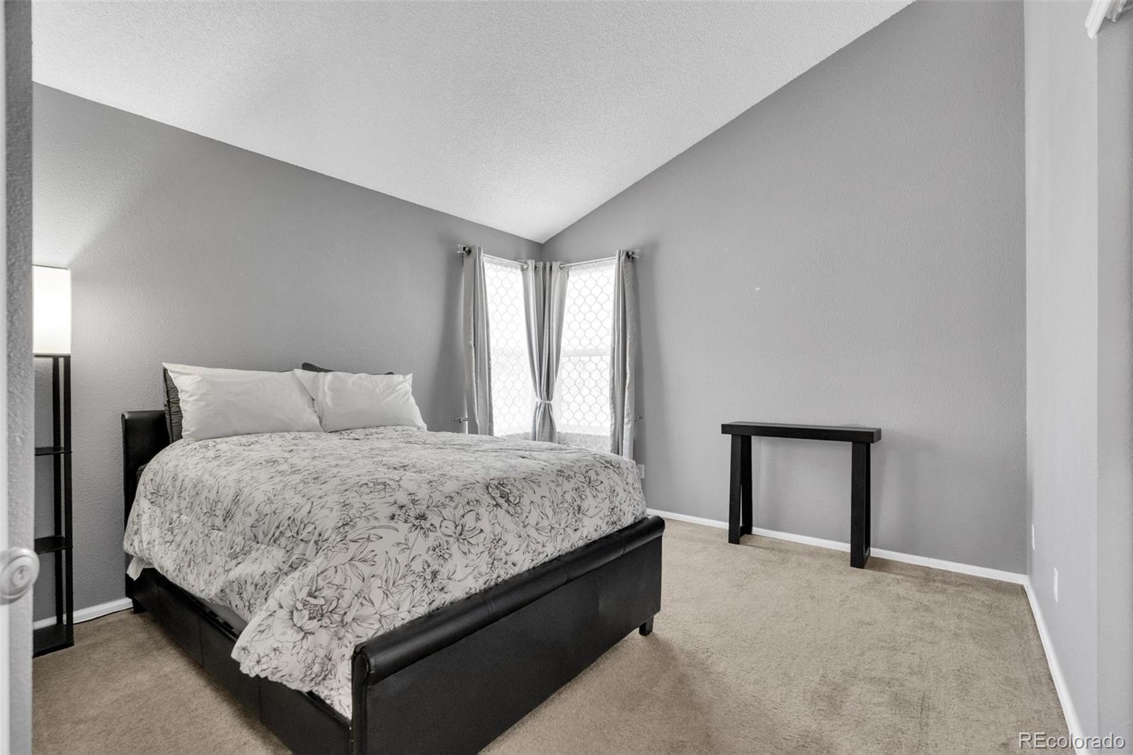 MLS Image #19 for 9098  goosander way,littleton, Colorado