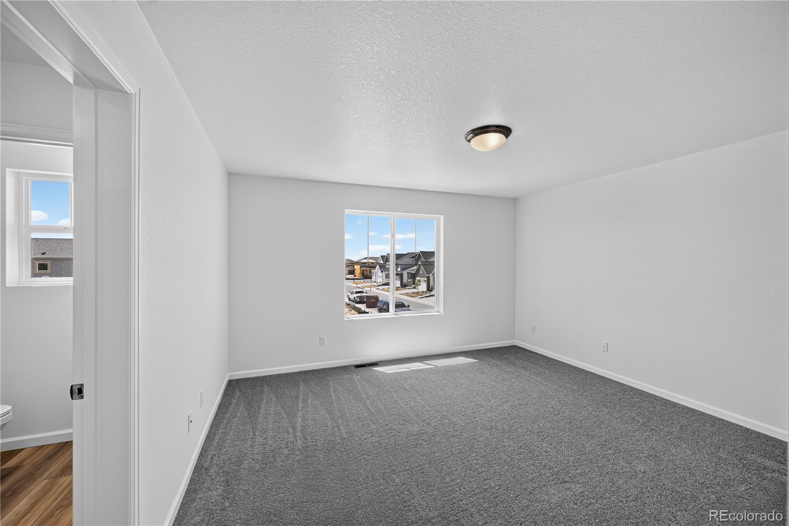 MLS Image #13 for 342 n bersshine court,watkins, Colorado