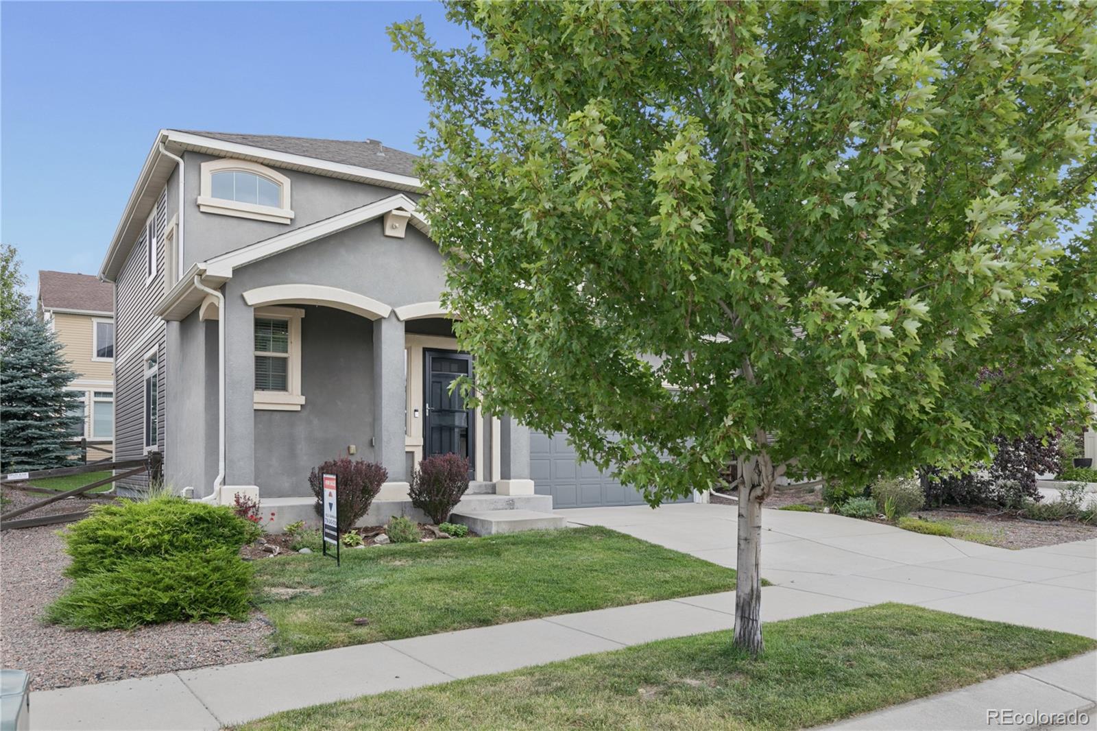 MLS Image #10 for 6588  cottonwood tree drive,colorado springs, Colorado