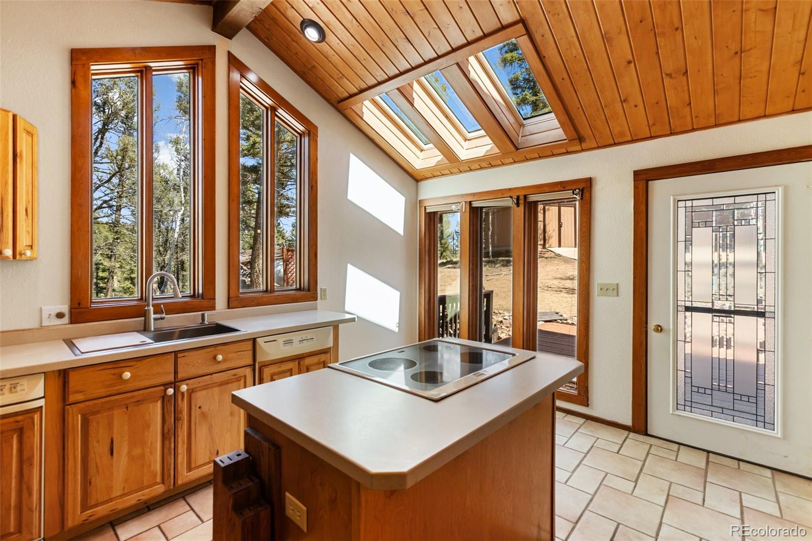 MLS Image #10 for 351  porphry road,florissant, Colorado