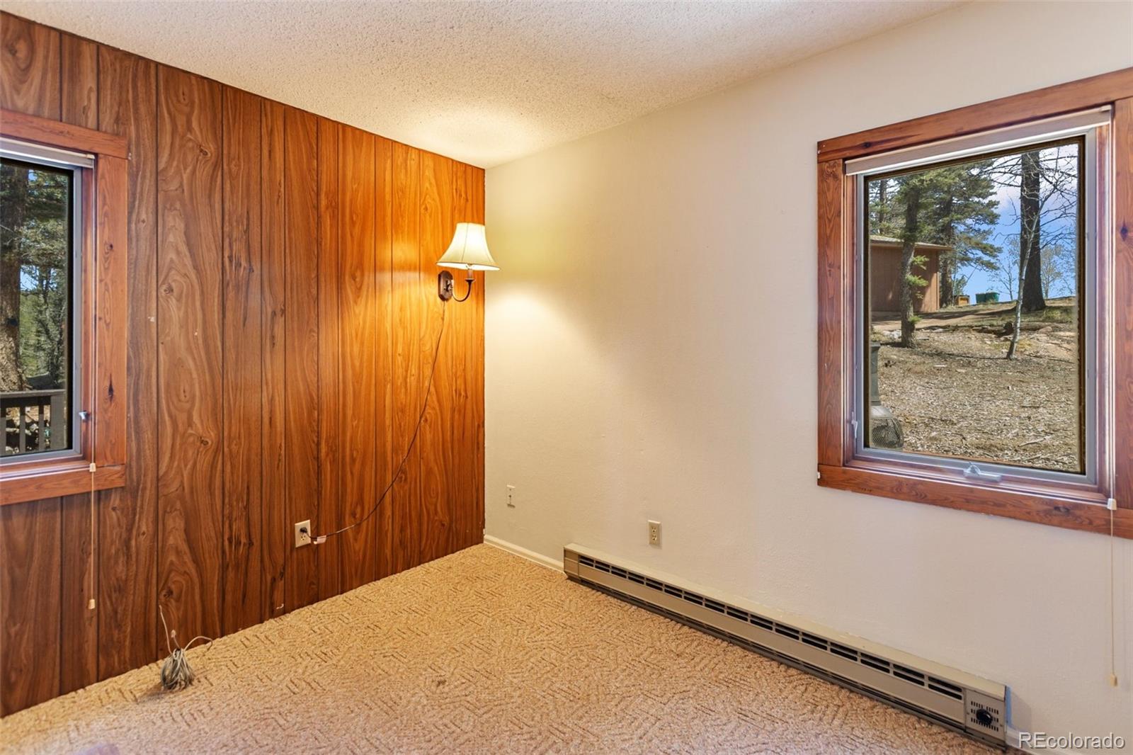 MLS Image #21 for 351  porphry road,florissant, Colorado