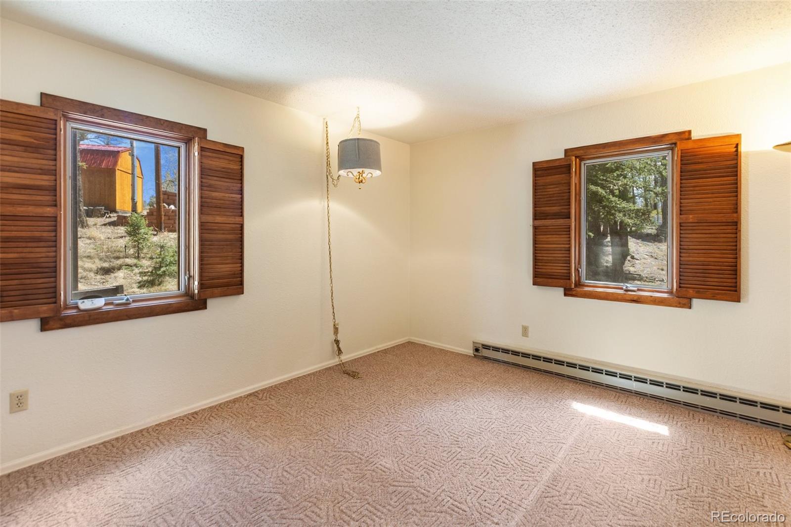MLS Image #22 for 351  porphry road,florissant, Colorado