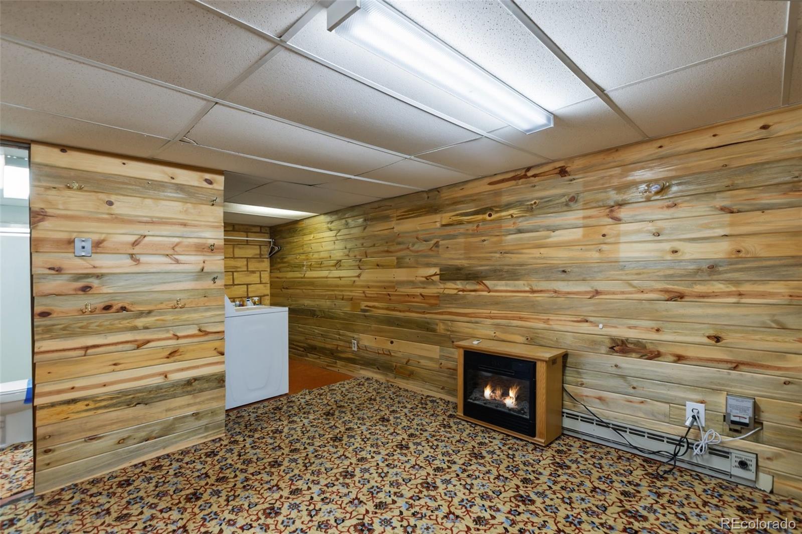 MLS Image #30 for 351  porphry road,florissant, Colorado