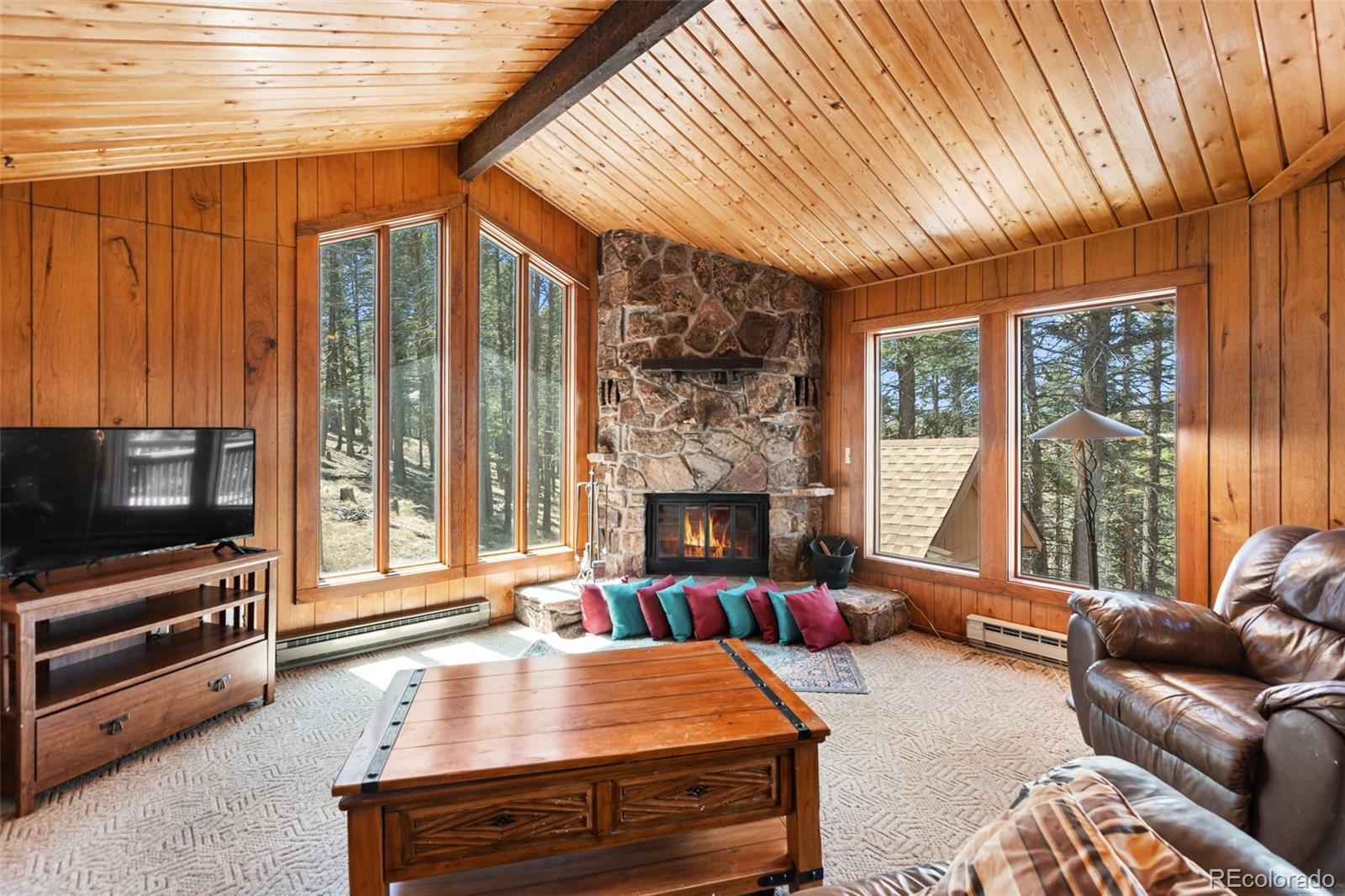 MLS Image #5 for 351  porphry road,florissant, Colorado