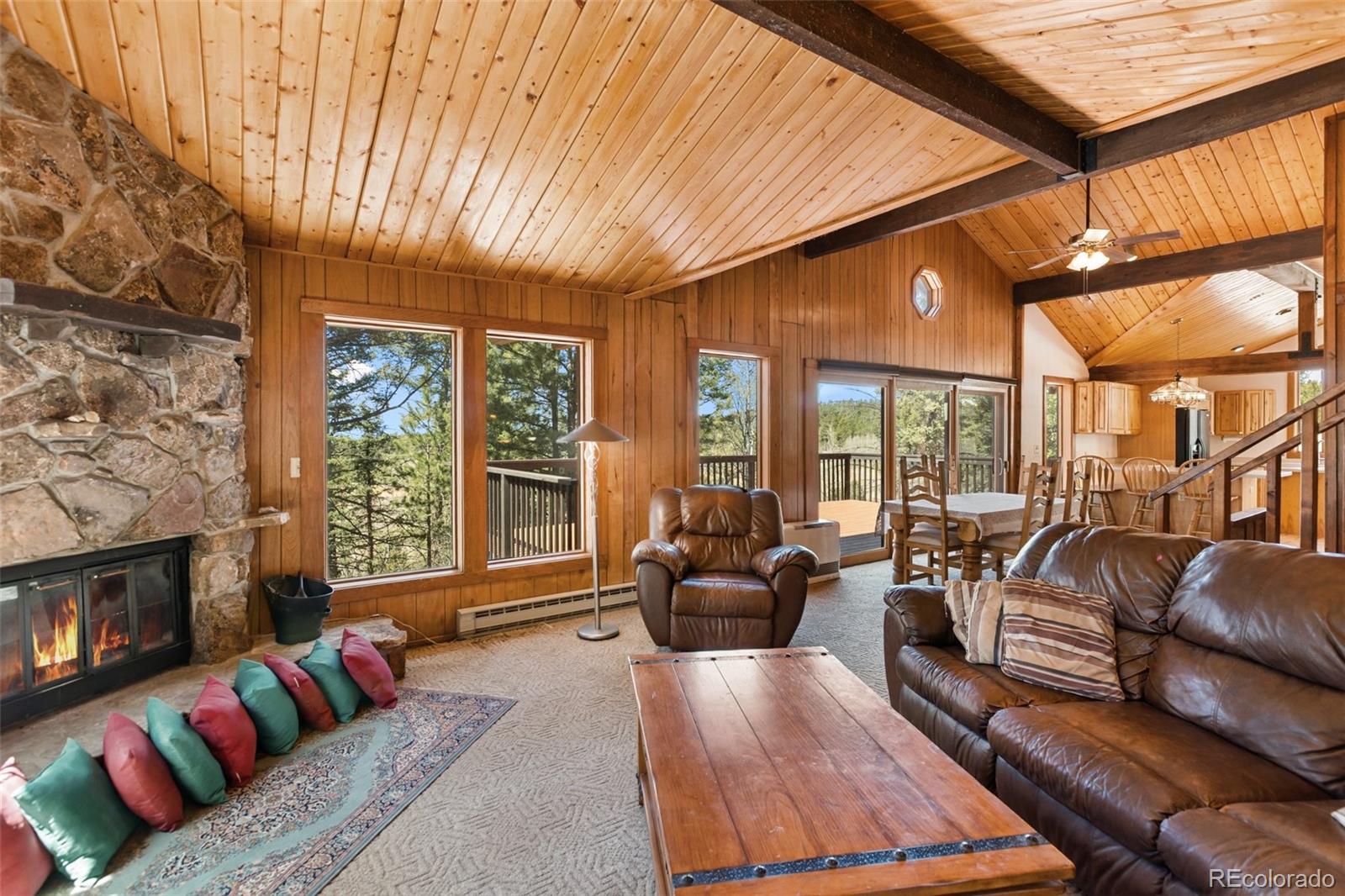 MLS Image #6 for 351  porphry road,florissant, Colorado