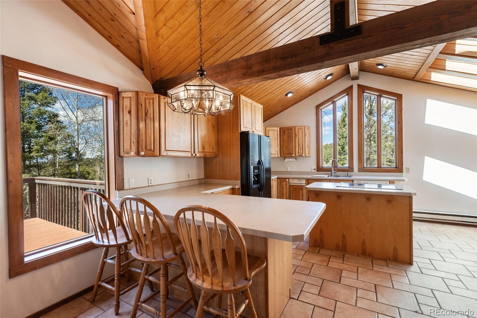 MLS Image #7 for 351  porphry road,florissant, Colorado