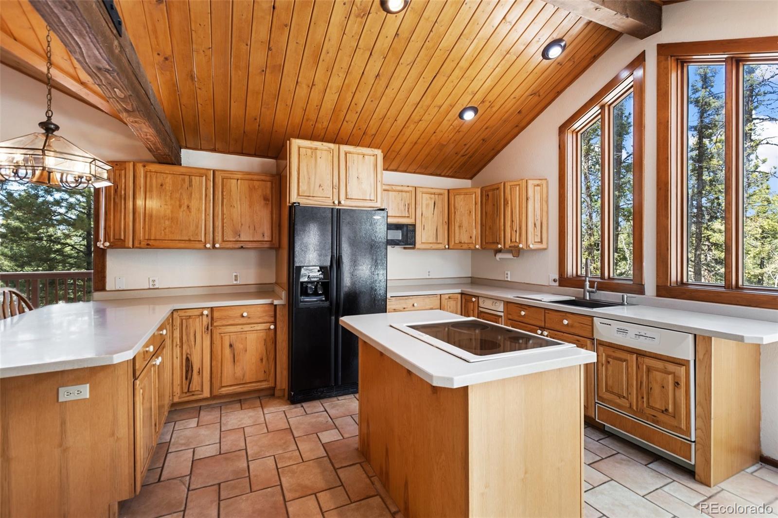 MLS Image #8 for 351  porphry road,florissant, Colorado