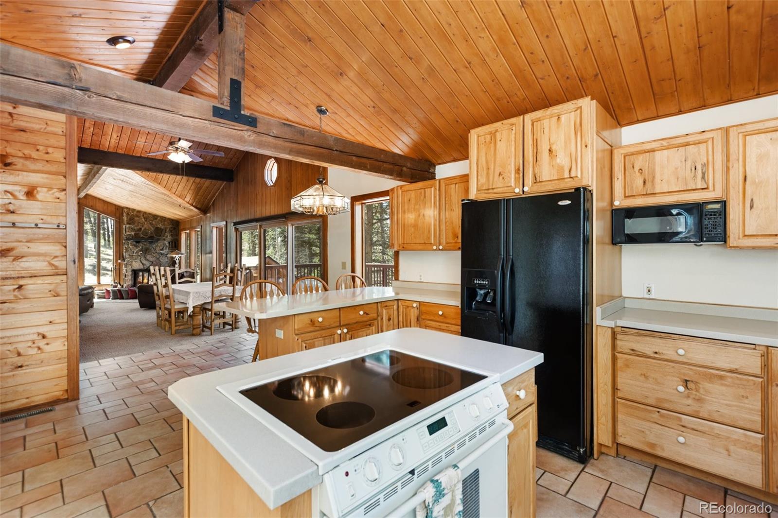 MLS Image #9 for 351  porphry road,florissant, Colorado