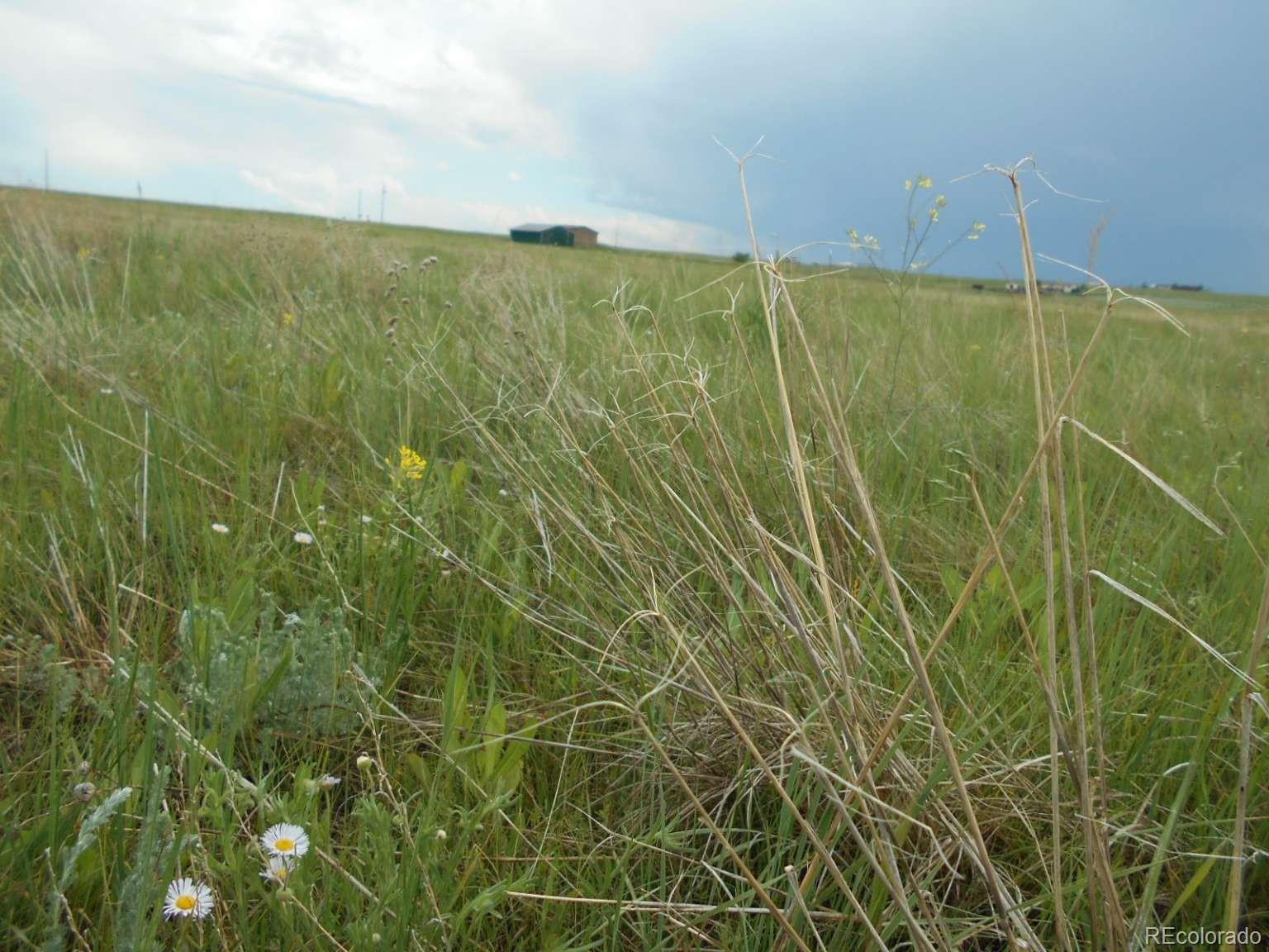 MLS Image #33 for 27925  bambi avenue,simla, Colorado