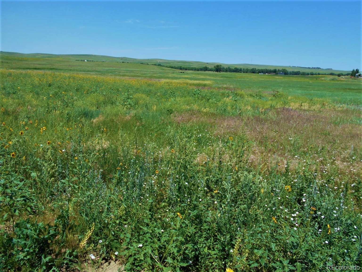 MLS Image #35 for 27925  bambi avenue,simla, Colorado