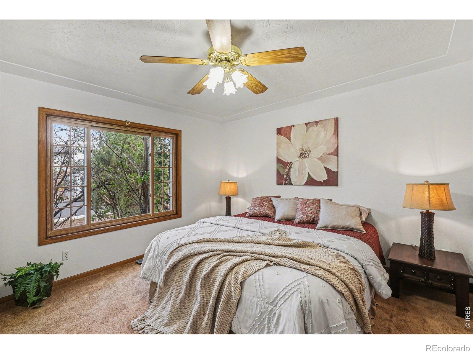 MLS Image #15 for 635  ash avenue,ault, Colorado