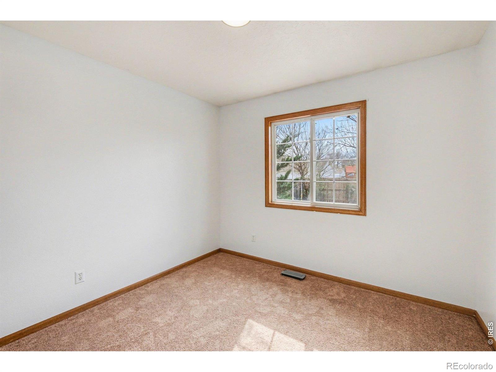 MLS Image #19 for 635  ash avenue,ault, Colorado