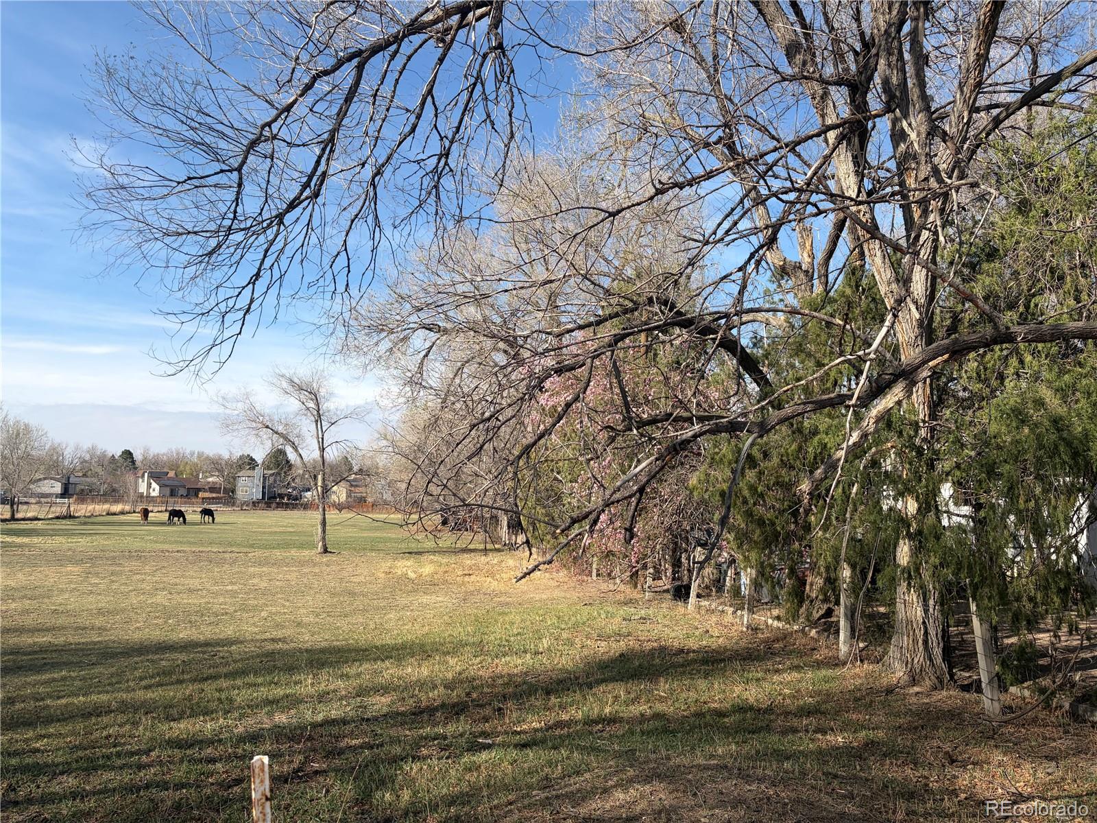 MLS Image #1 for 6962  ingalls street,arvada, Colorado