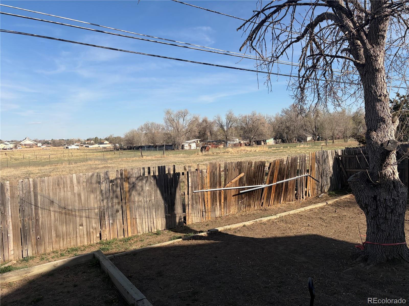 MLS Image #2 for 6962  ingalls street,arvada, Colorado