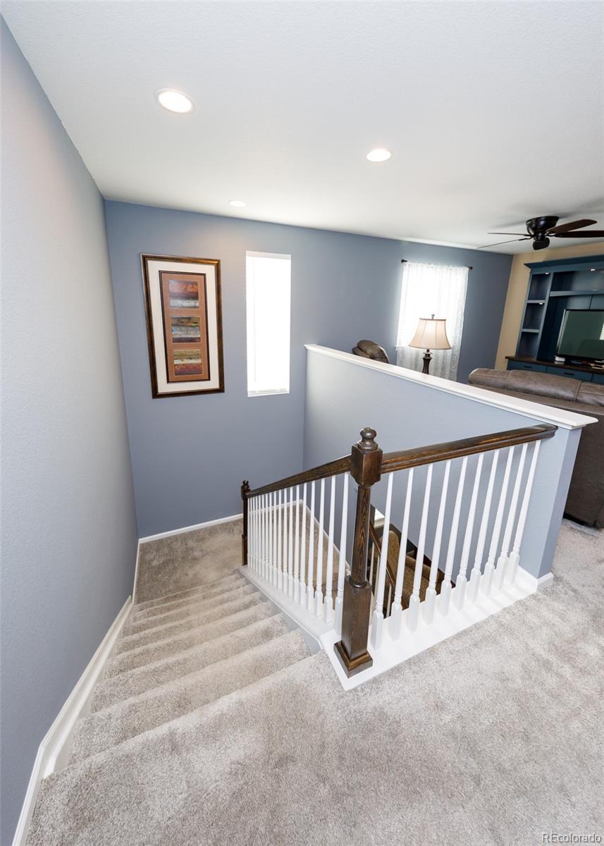 MLS Image #17 for 81 s edge cliff street,castle rock, Colorado