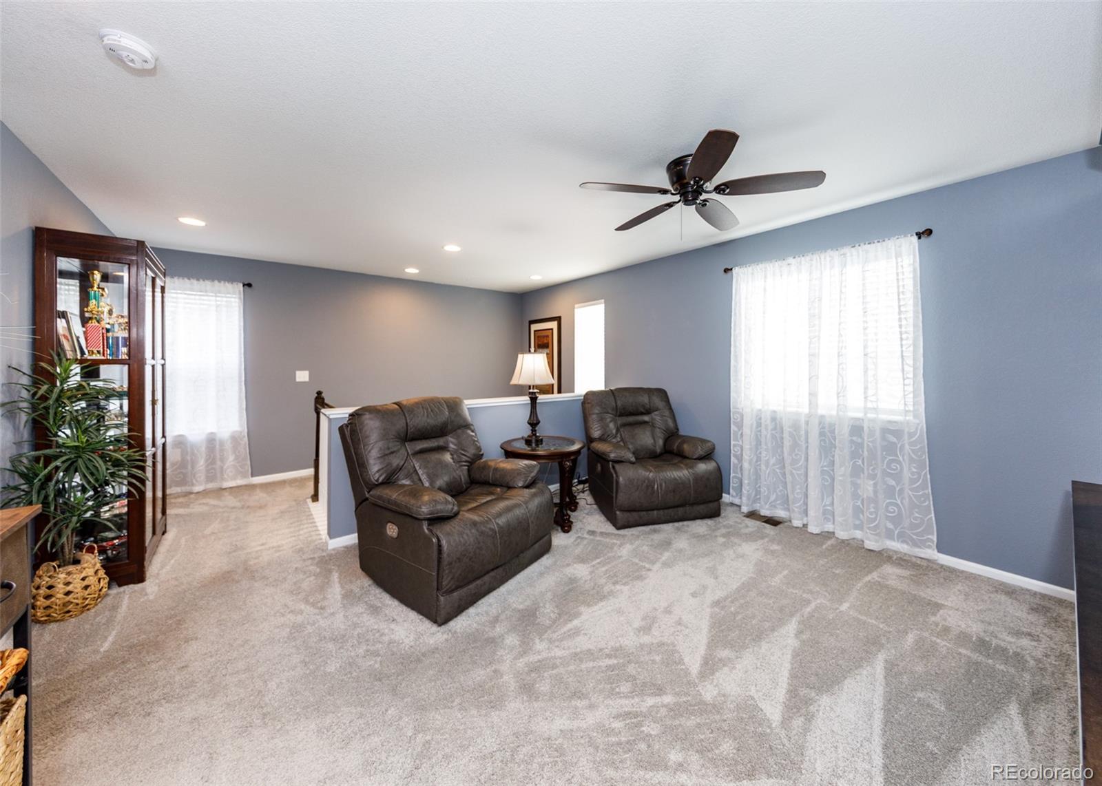 MLS Image #19 for 81 s edge cliff street,castle rock, Colorado