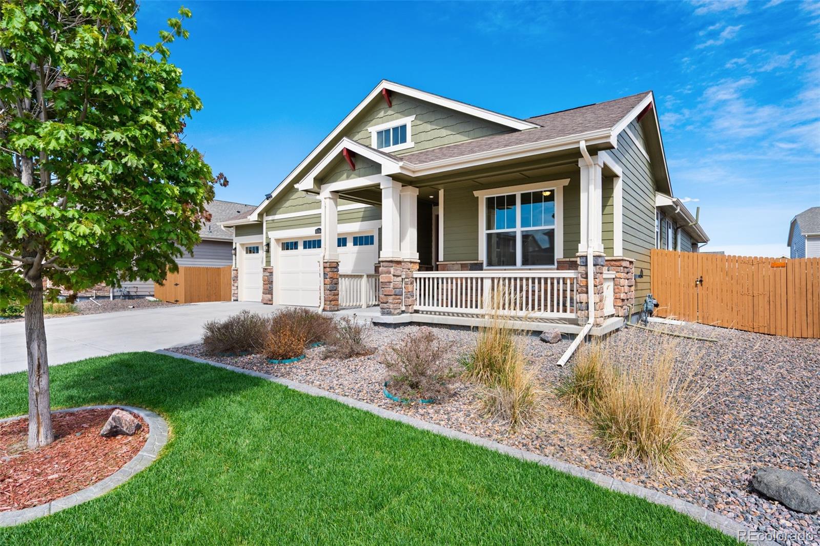 MLS Image #6 for 16364  columbine street,thornton, Colorado