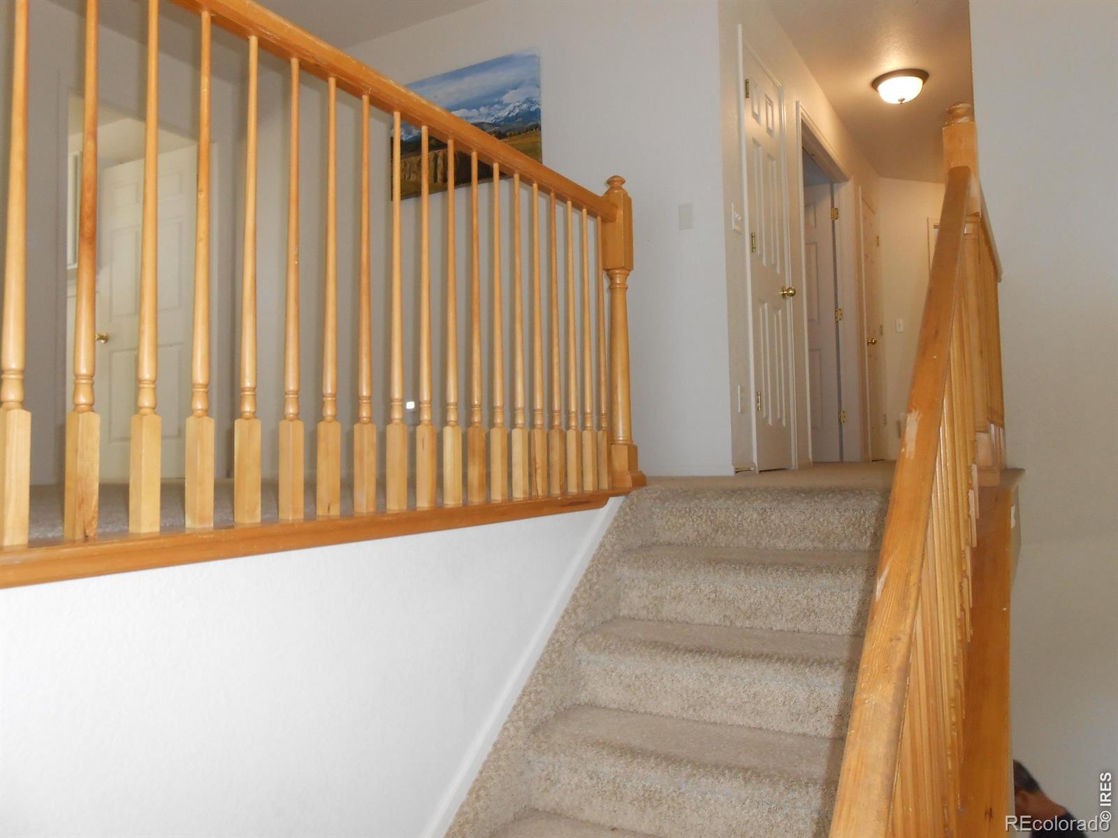 MLS Image #11 for 12609  jersey circle,thornton, Colorado