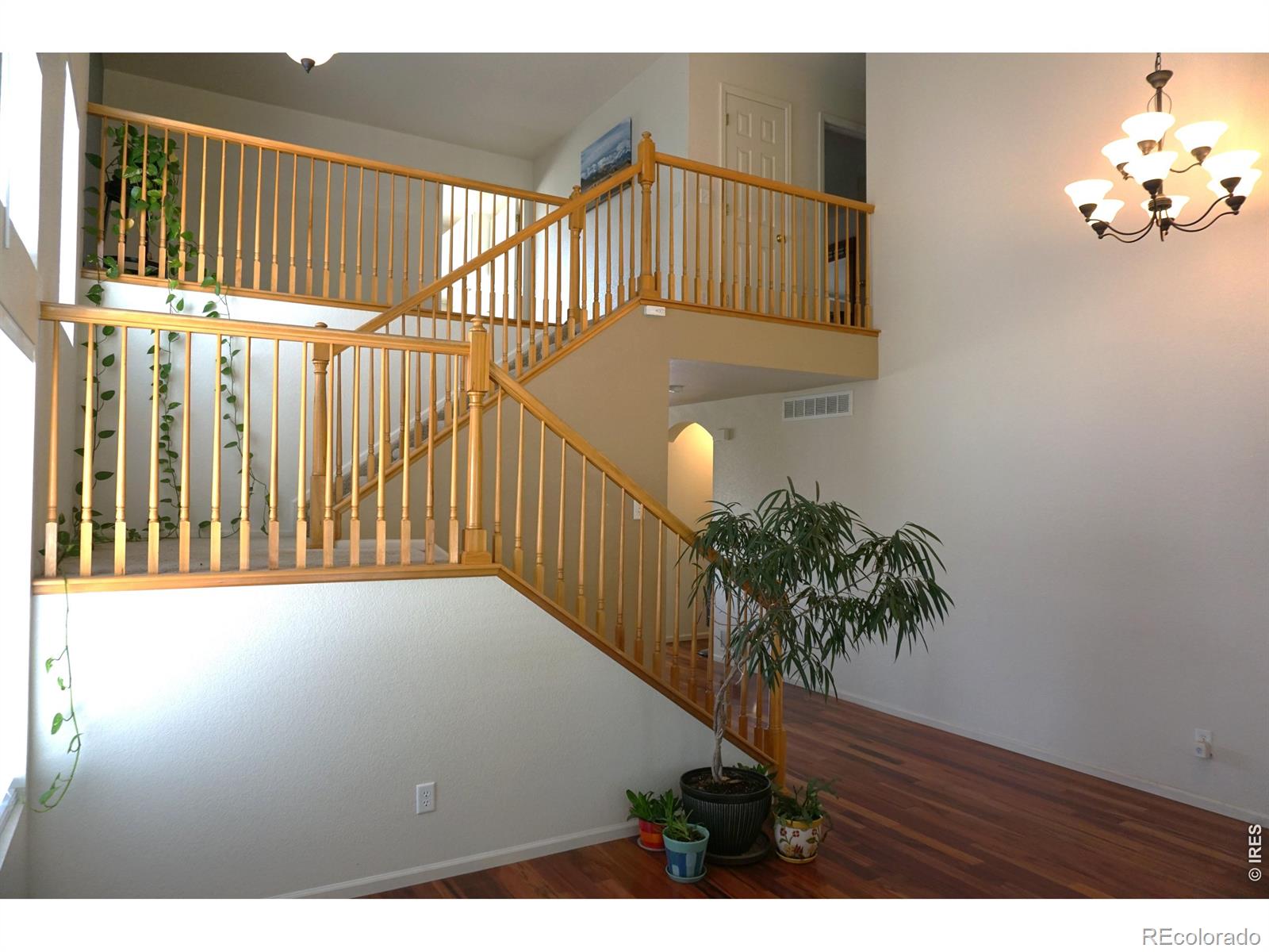 MLS Image #2 for 12609  jersey circle,thornton, Colorado