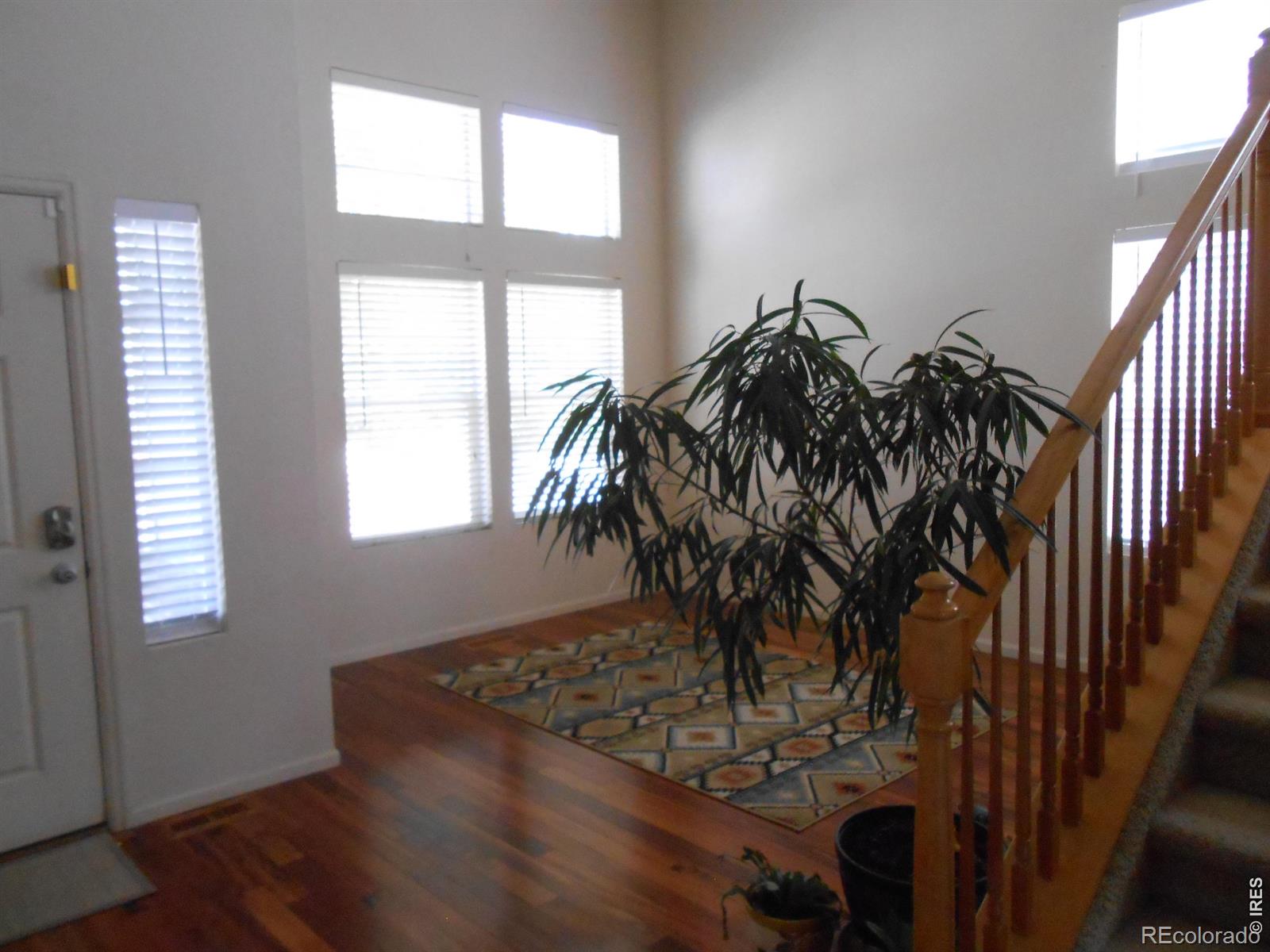 MLS Image #3 for 12609  jersey circle,thornton, Colorado