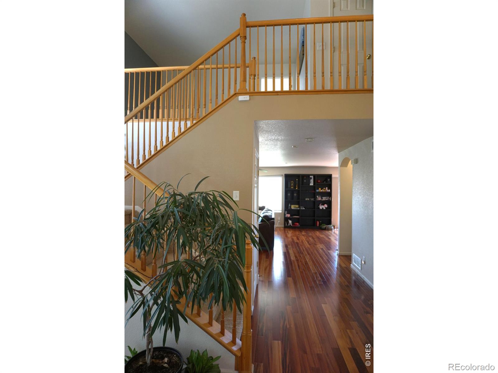 MLS Image #4 for 12609  jersey circle,thornton, Colorado