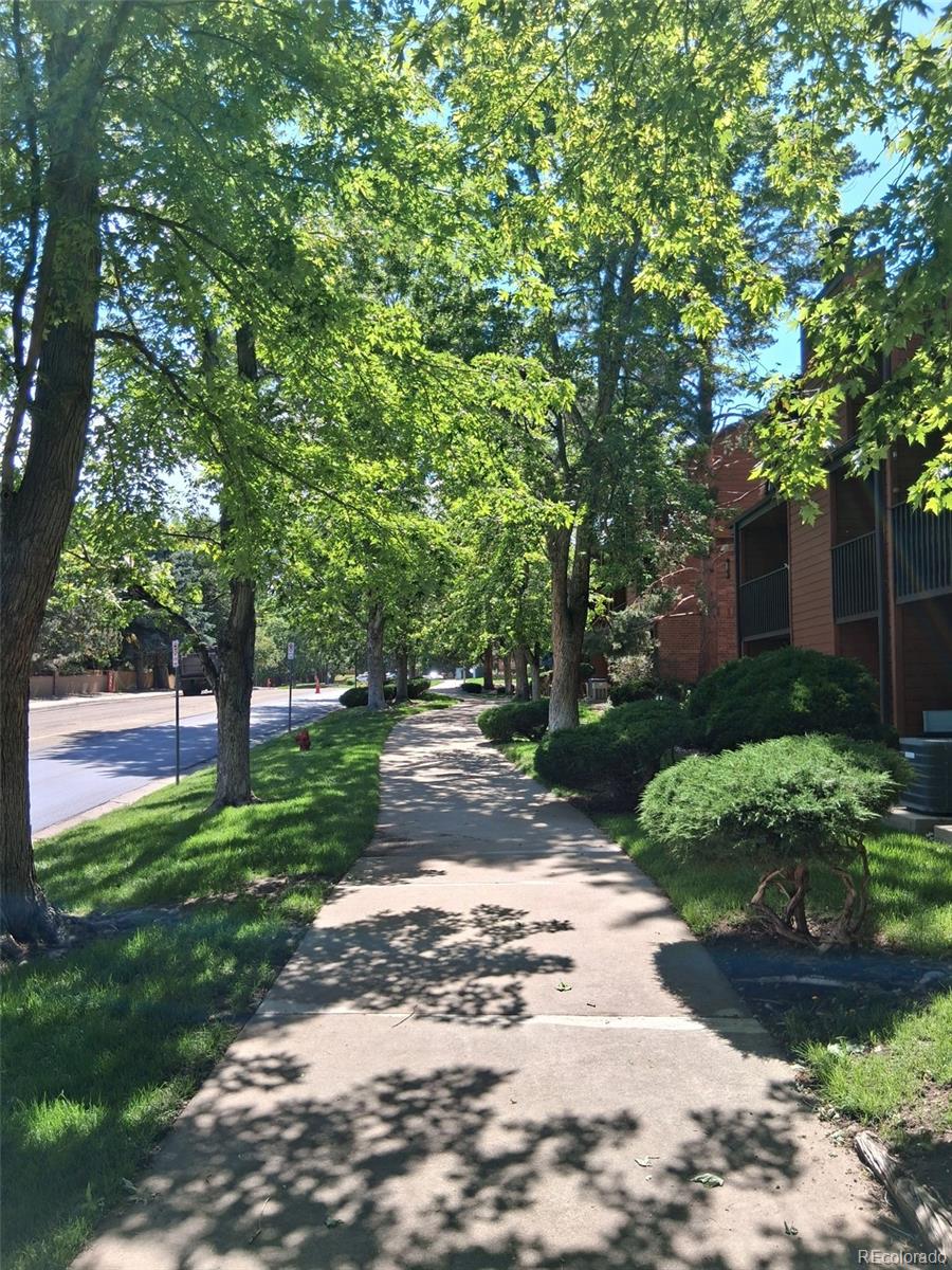 MLS Image #7 for 451  wright street 13,lakewood, Colorado