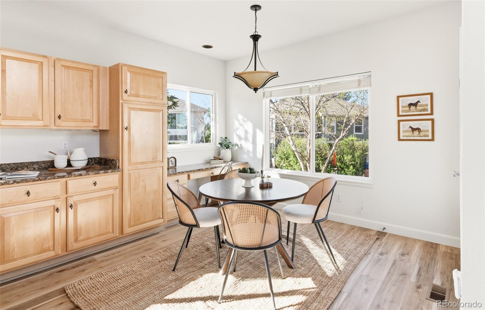 MLS Image #10 for 6157 s killarney drive,centennial, Colorado