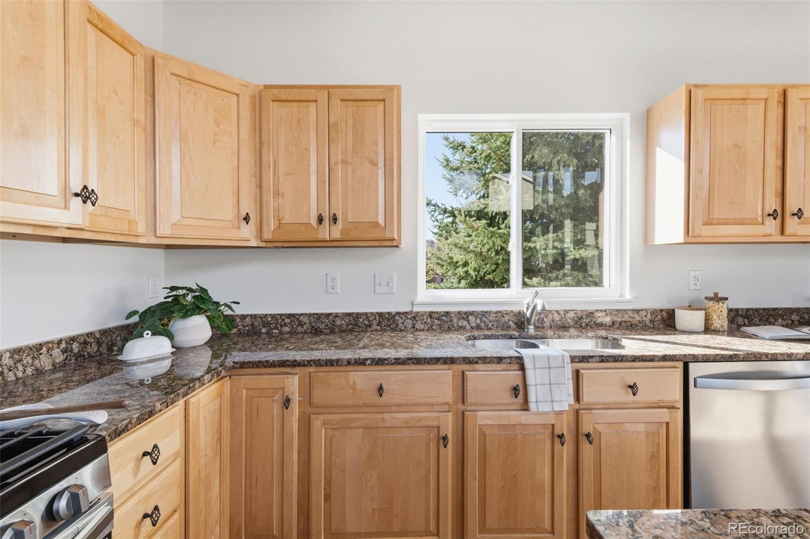 MLS Image #14 for 6157 s killarney drive,centennial, Colorado