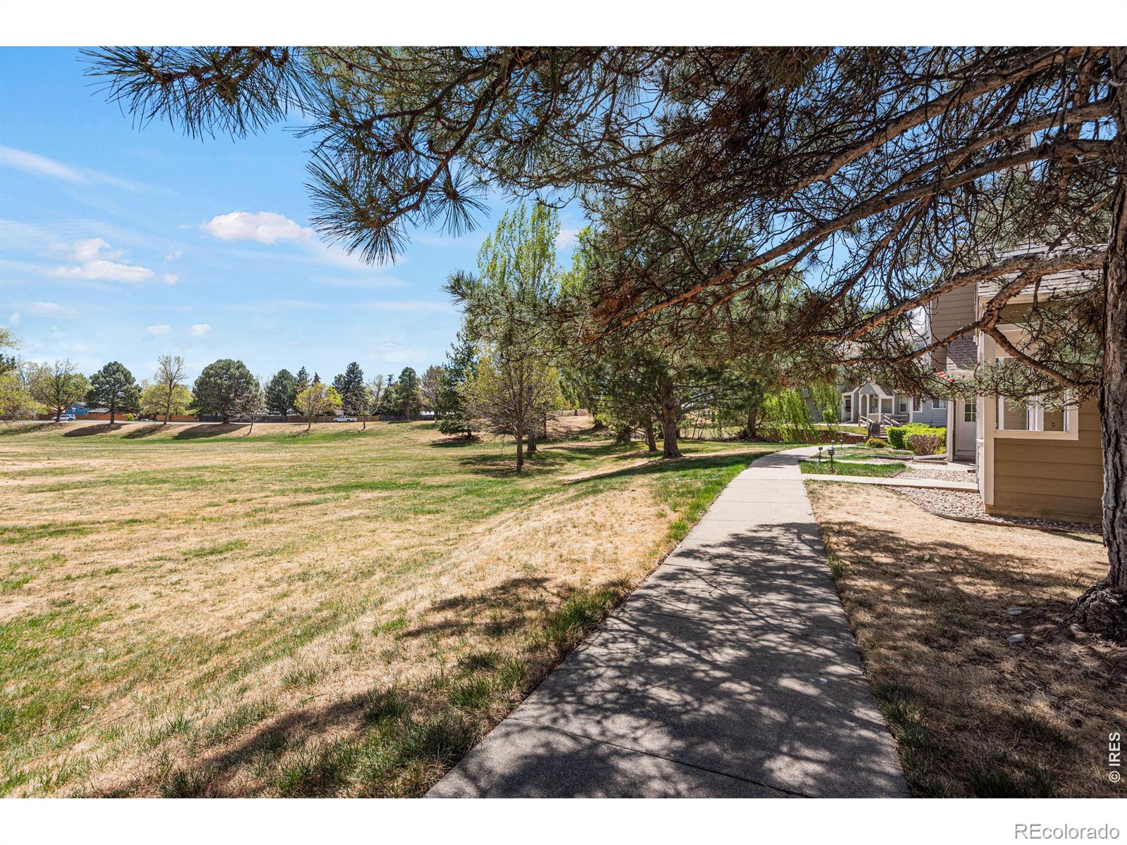 MLS Image #2 for 7230  devinney court f,arvada, Colorado