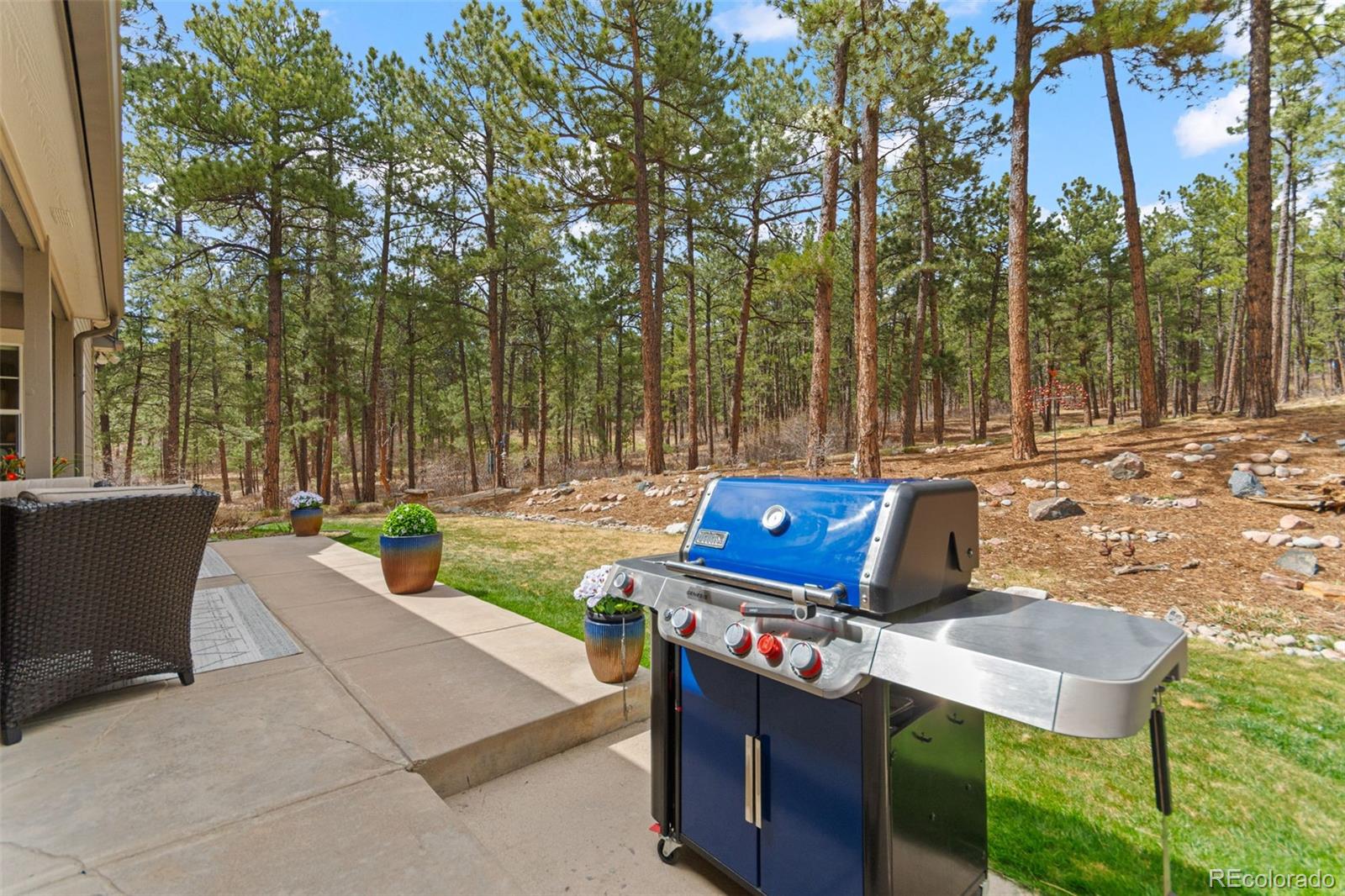 MLS Image #45 for 1767  cinnamon road,larkspur, Colorado