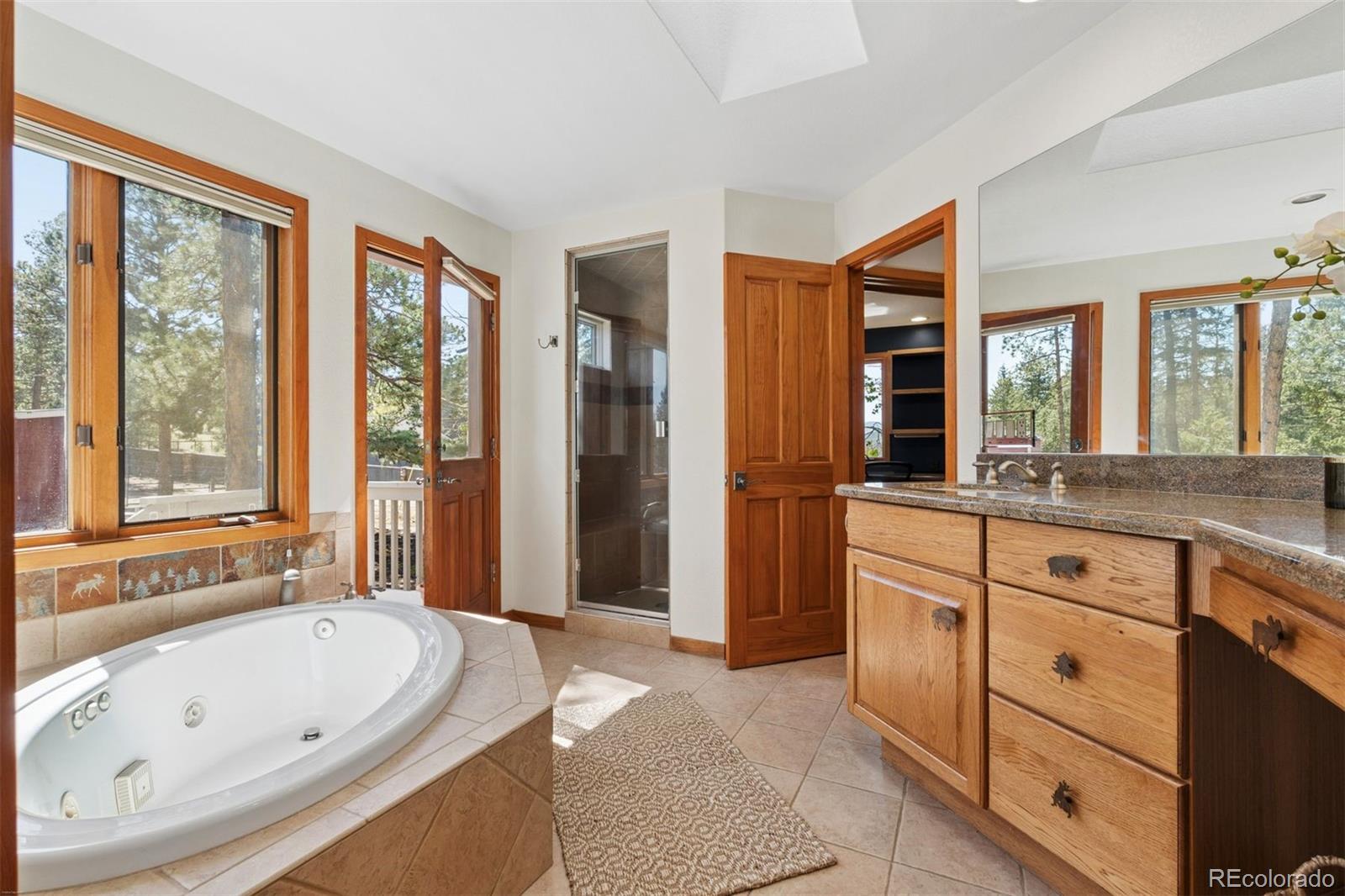 MLS Image #29 for 1106  county road 65 ,evergreen, Colorado