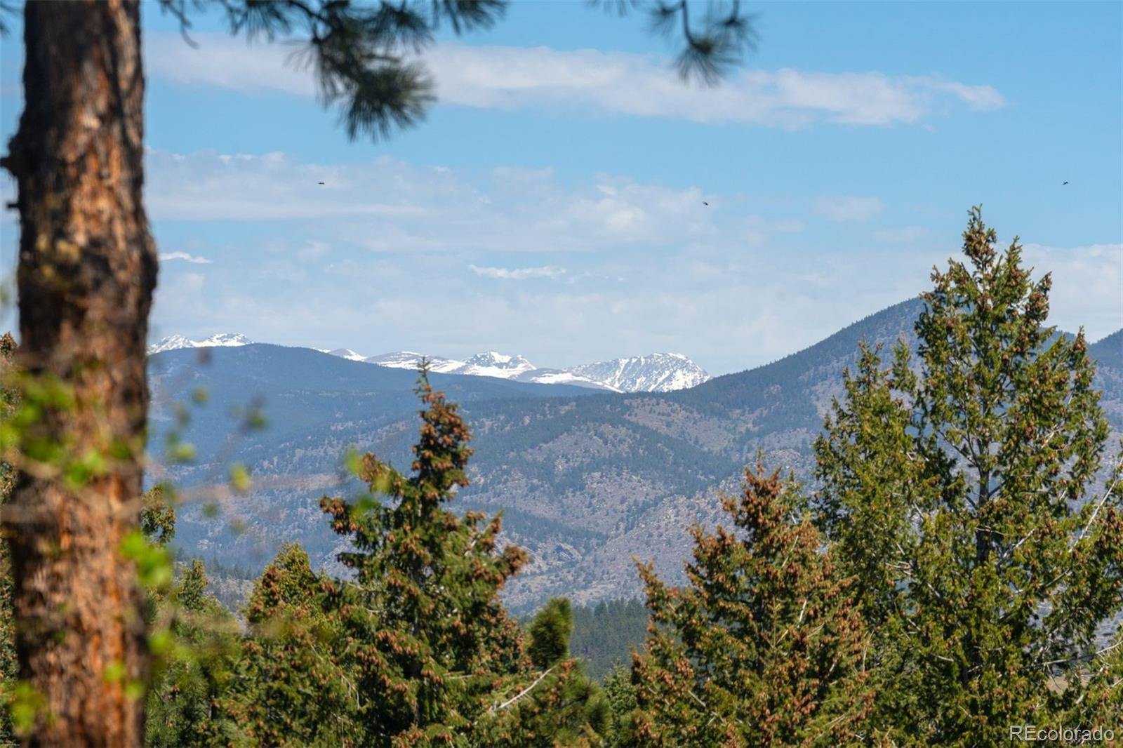 MLS Image #38 for 1106  county road 65 ,evergreen, Colorado