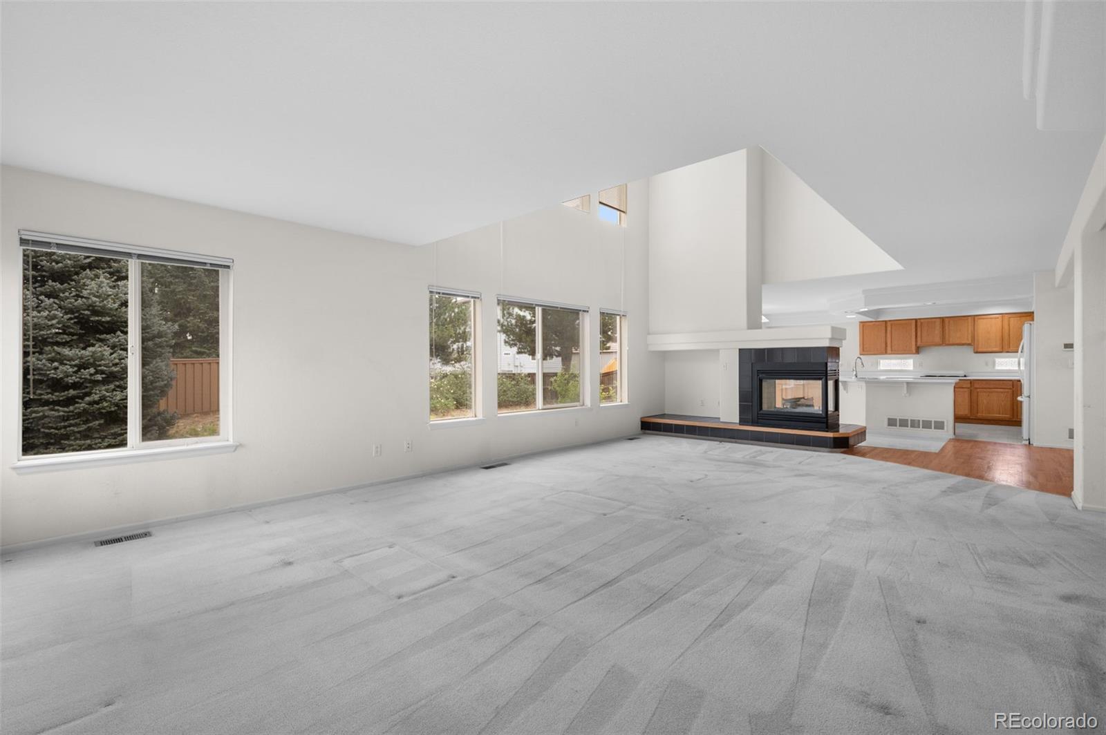 MLS Image #10 for 20331 e 47th place,denver, Colorado