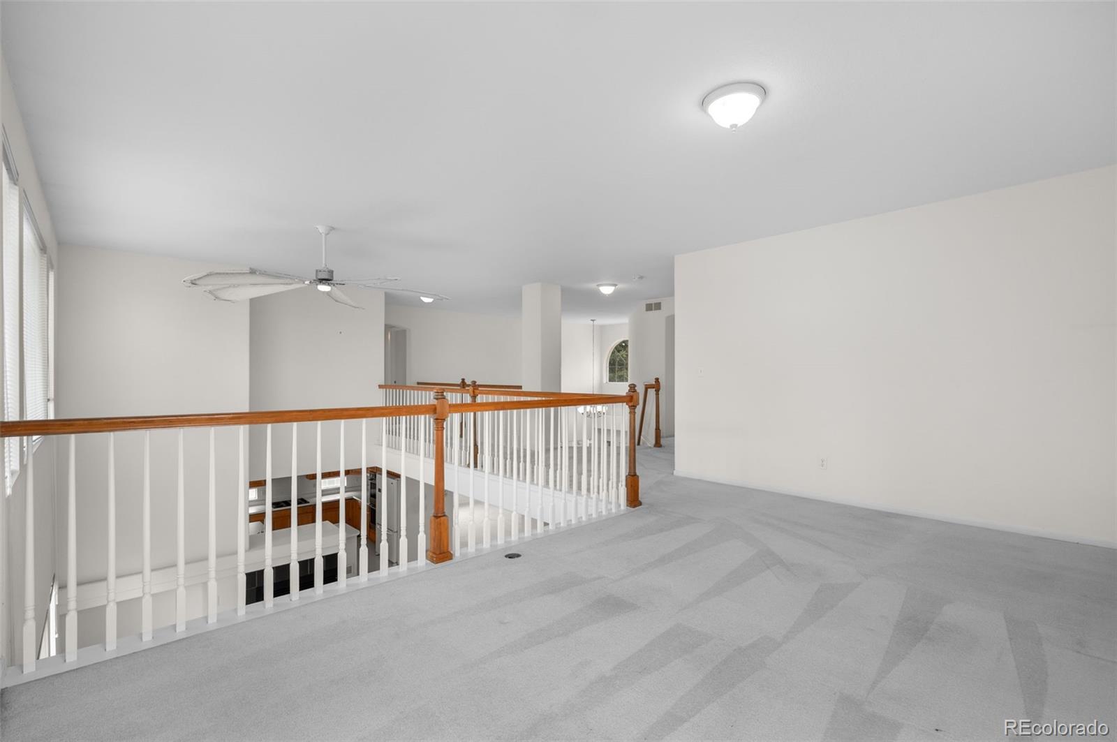 MLS Image #19 for 20331 e 47th place,denver, Colorado