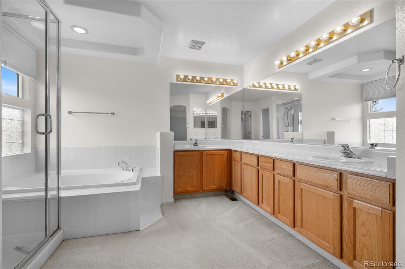 MLS Image #22 for 20331 e 47th place,denver, Colorado