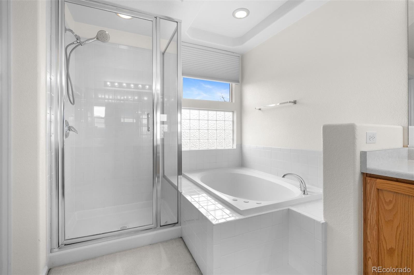MLS Image #23 for 20331 e 47th place,denver, Colorado