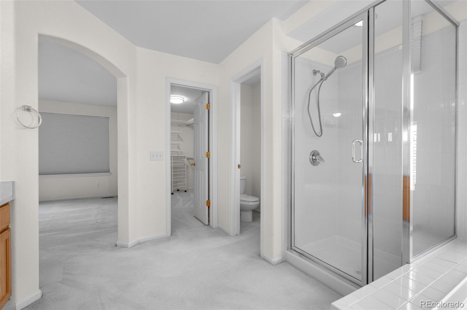 MLS Image #24 for 20331 e 47th place,denver, Colorado