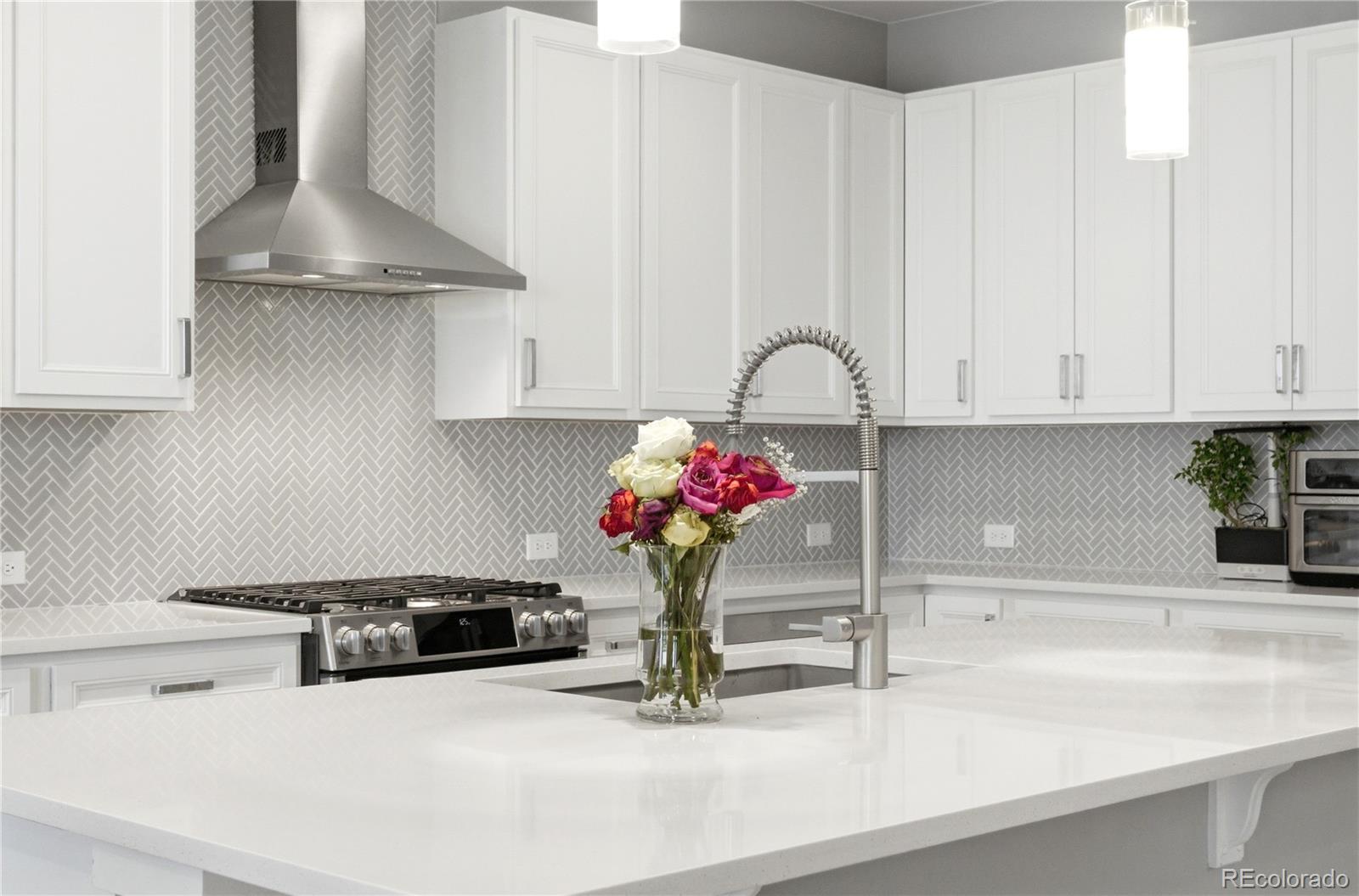 MLS Image #5 for 8948  delacorte street,highlands ranch, Colorado