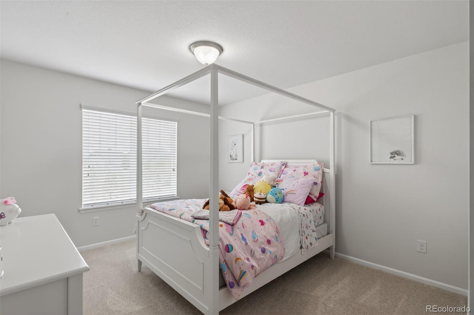 MLS Image #26 for 3008  echo park drive,castle rock, Colorado