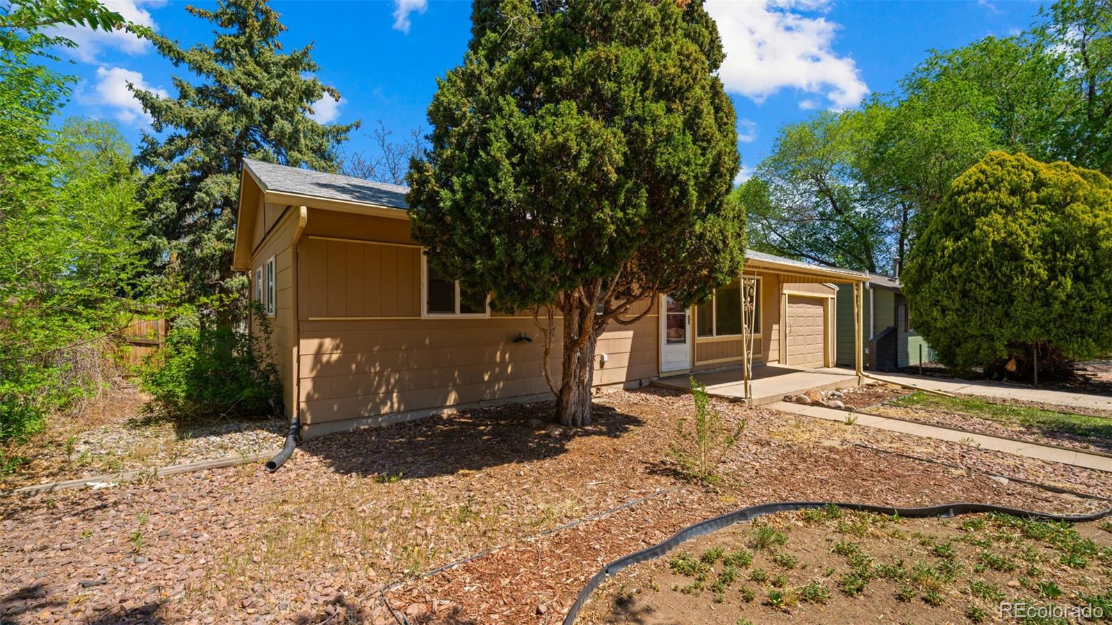 MLS Image #20 for 1050  florence avenue,colorado springs, Colorado