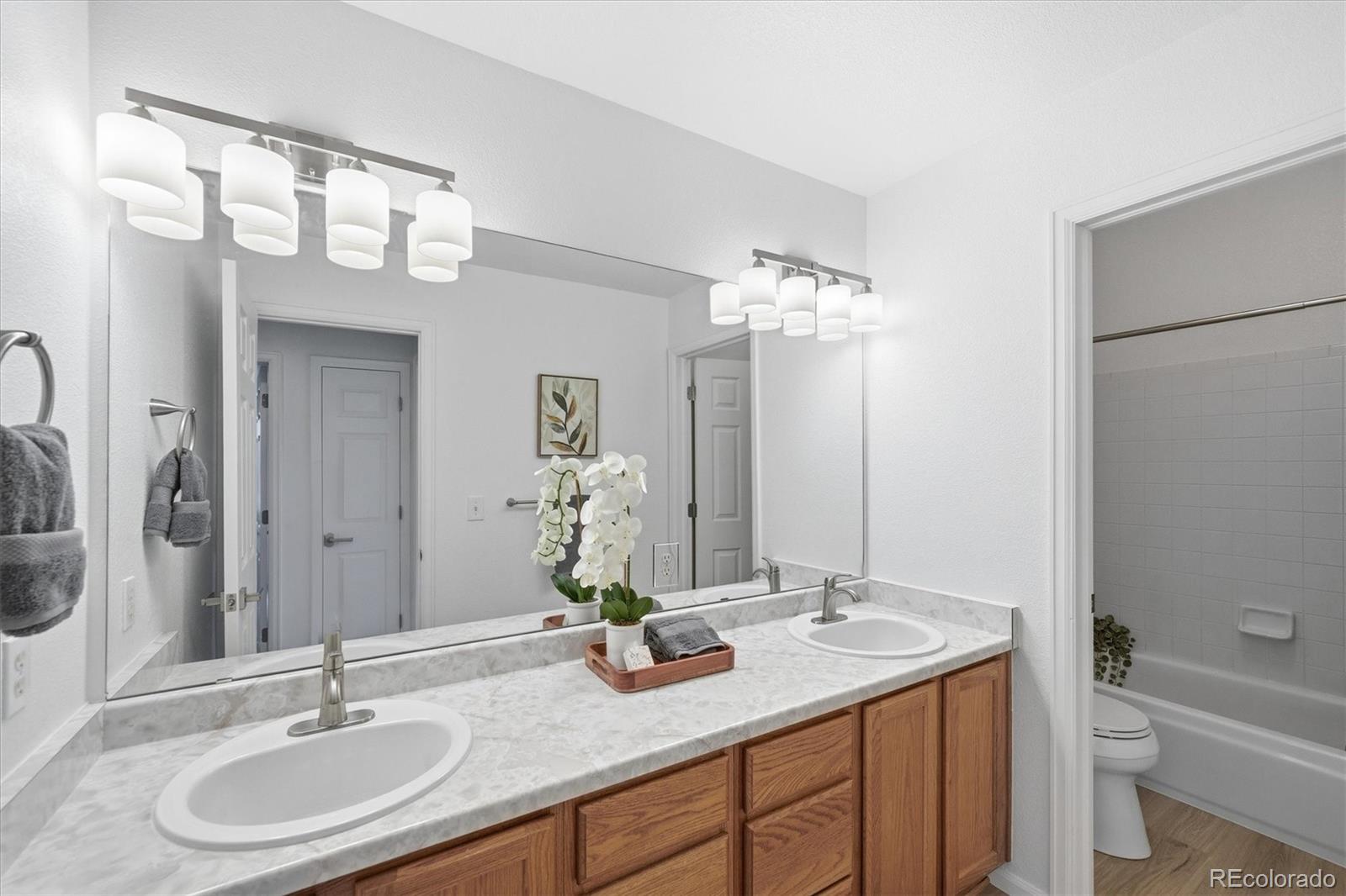 MLS Image #37 for 3218  astorbrook way,highlands ranch, Colorado