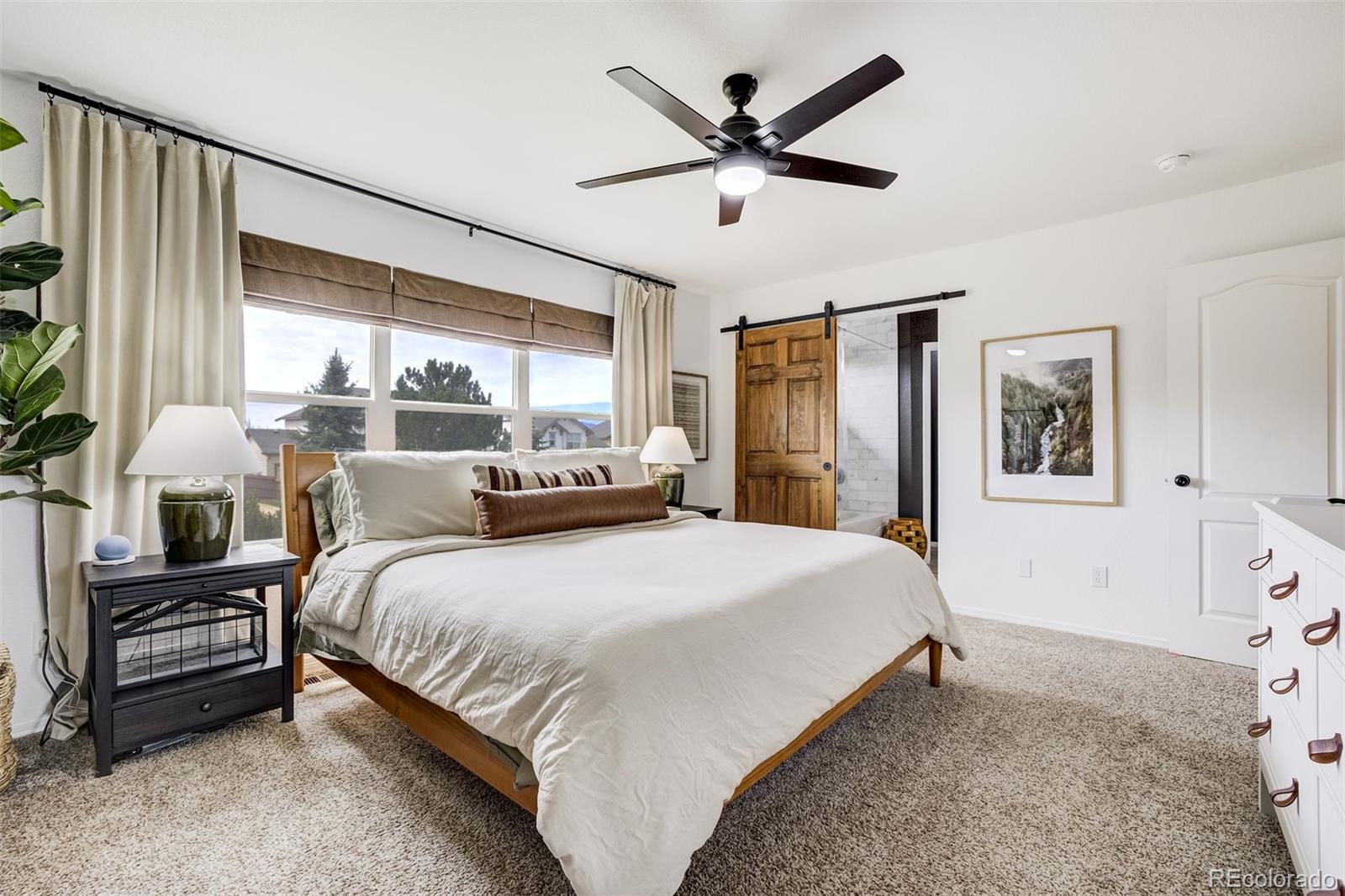 MLS Image #21 for 4045  cherry plum drive,colorado springs, Colorado