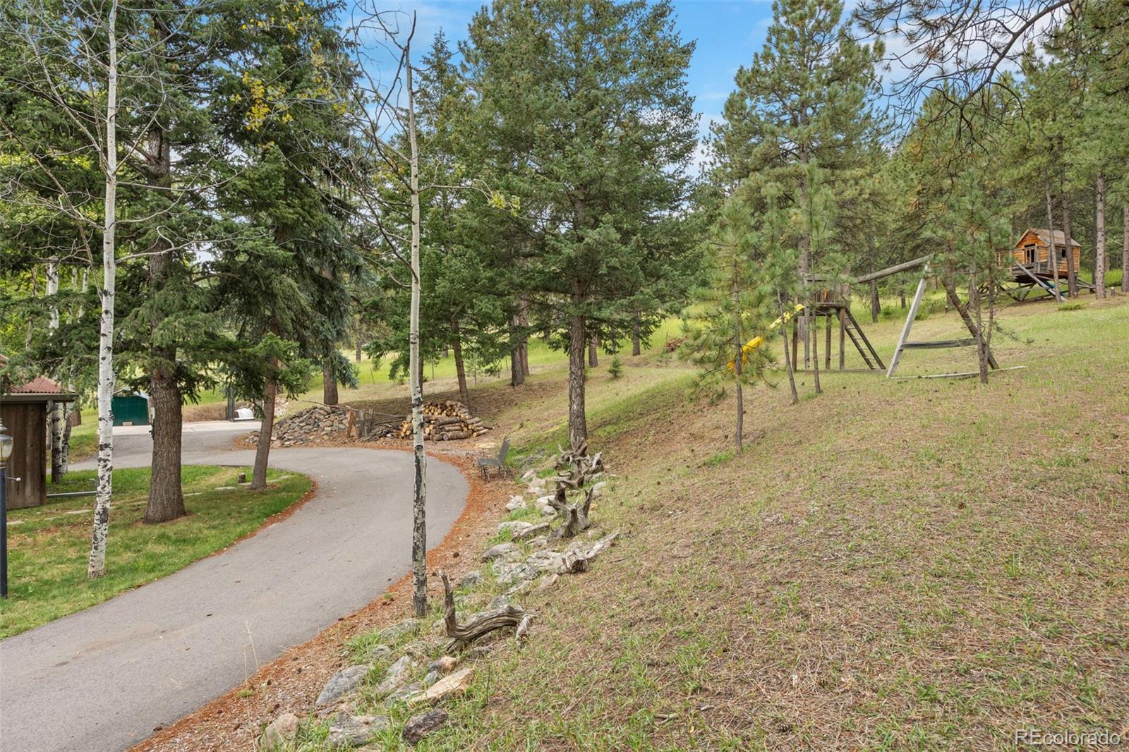 MLS Image #13 for 6151  kinney creek road,evergreen, Colorado