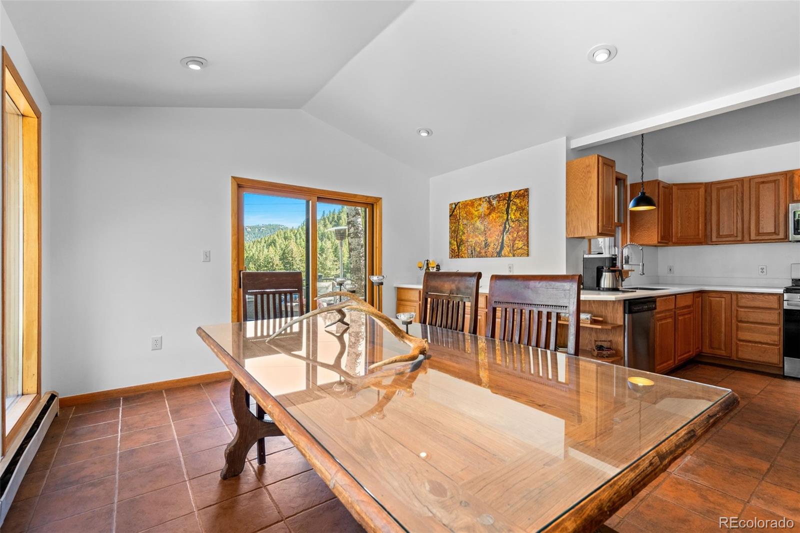 MLS Image #26 for 6151  kinney creek road,evergreen, Colorado